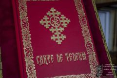 Carte-de-Tedeum4