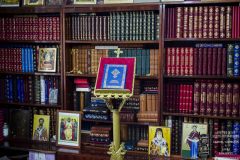 Biblia-A5-chenar-struguri-1