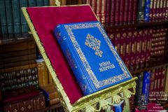 Biblia-A5-chenar-struguri-3