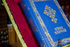 Biblia-A5-chenar-struguri-4